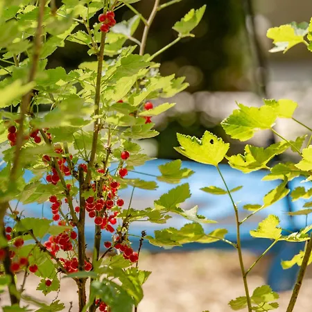 Feriendomizil Heuberg Für Dich Ganz Allein Kolbingen (Tuttlingen)