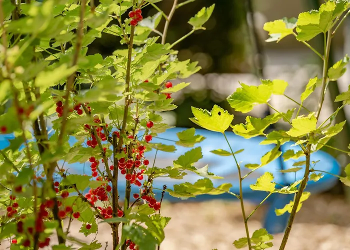 Feriendomizil Heuberg Fuer Dich Ganz Allein Kolbingen (Tuttlingen)