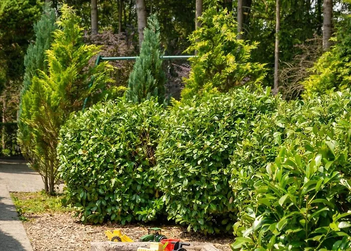 Feriendomizil Heuberg Fuer Dich Ganz Allein